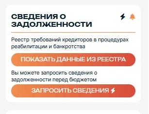 Сведения о задолженности компании в модуле Казахстан